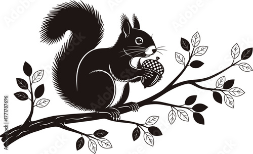 Silhouette of a squirrel holding an acorn while perched on a tree branch