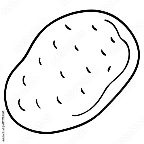 Fresh Potato Vector Illustration