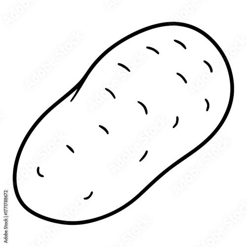 Fresh Potato Vector Illustration