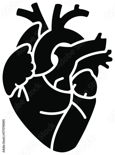 Human Anatomical Heart Black and White Icon Vector