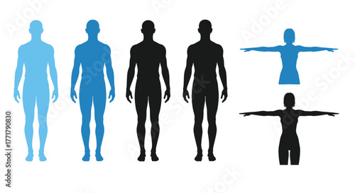 Human body silhouettes in different poses and colors against a white background.