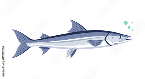 Stylized barracuda illustration in light and dark blues with three bubbles, a depiction of a marine animal isolated on white.