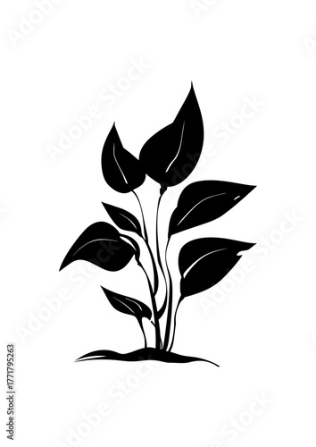 Flat design of a plant vector in black and white perfect for apps, website, logo or sign 