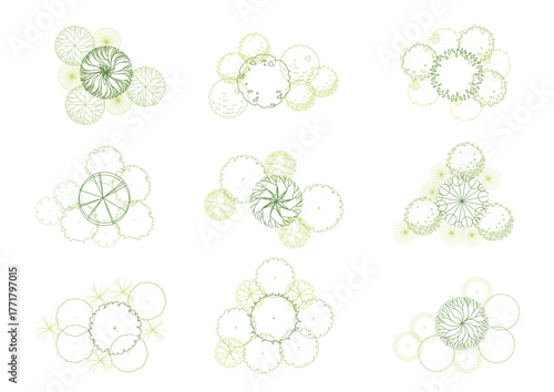 architecture drawing plant tree top view plan greenery vegetation vector. design nature architectural landscape set element illustration bush garden flora sapling minimal. architect isolated.