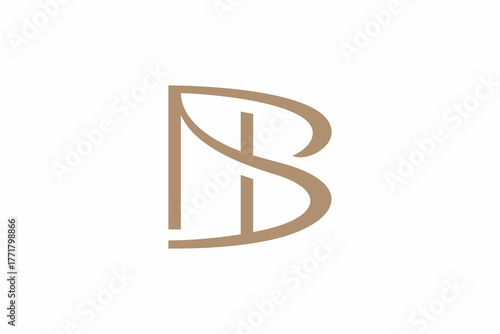 Letter NB Elegant Logo 