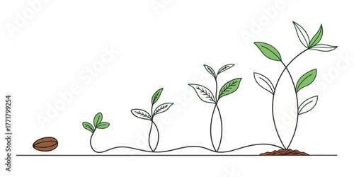 Vector illustration showing the sequential stages of plant growth from seed to mature plant over time