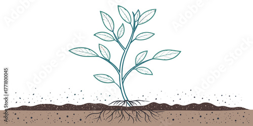 Vector illustration of a young plant with green leaves and roots growing in the soil on a white background