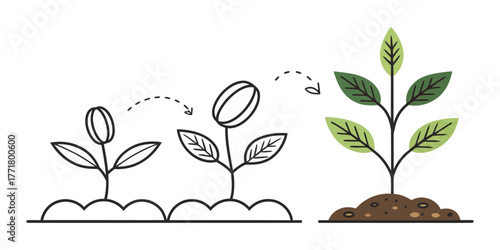 Vector illustration of a plant growing in three stages from seed to full plant with green leaves shown