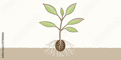Vector illustration of a small plant with green leaves and roots growing in the ground in a light background