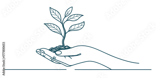 Vector hand holding a small plant with leaves and soil in a line art style on a white background drawing art