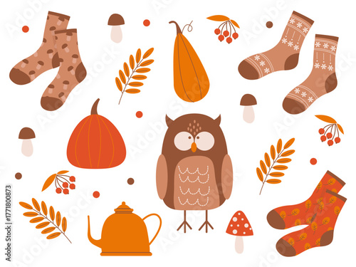 Autumn set with a cute owl, socks, leaves, berries, and mushrooms. Set of autumn stickers