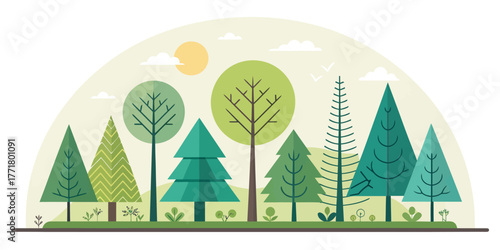 Vector illustration of a diverse forest with various types of trees under a bright sun and scattered clouds above