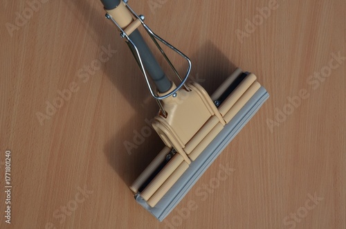 floor mop with wringer. cleaning equipment