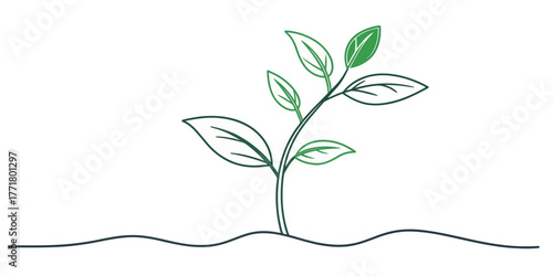 Vector illustration of a small plant with green leaves growing from the ground in a simple line drawing style