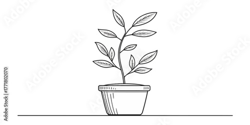 Vector illustration of a potted plant with several leaves in a simple black and white line drawing style