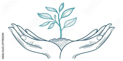 Vector illustration of two hands holding a plant with leaves and soil in a sketch style drawing design