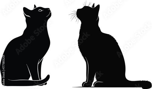 Two black cats silhouetted against a white background, looking upwards with curiosity.