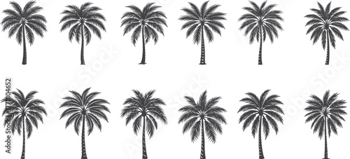 Set of palm tree silhouettes tropical beach nature landscape vector illustration
