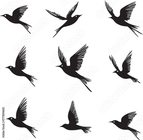 Beautiful artistic black flying bird shapes for design creativity on white background