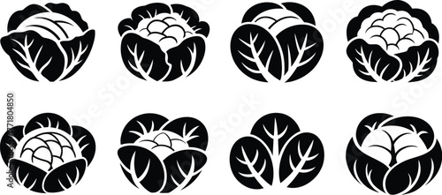 Cabbage and cauliflower vector icon set fresh organic vegetables
