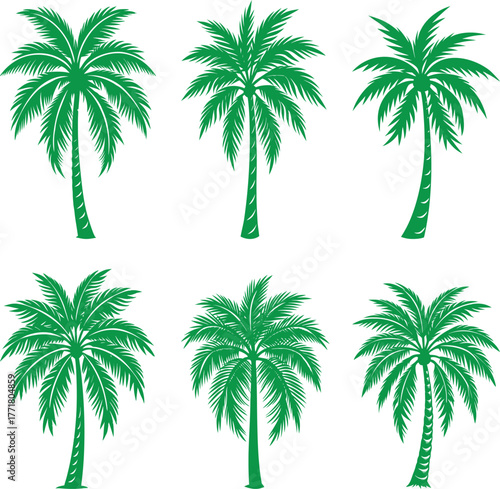 A set of tropical palm trees with green leaves is isolated for a beach summer vacation nature illustration