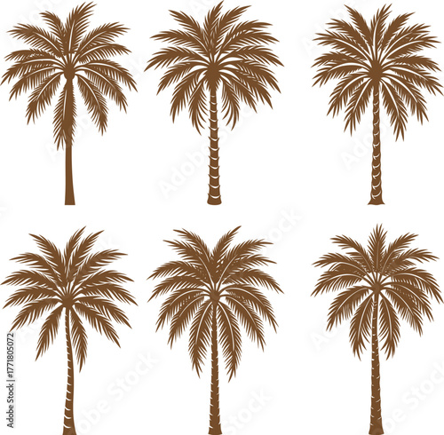 Tropical palm tree silhouettes frame a summer beach scene with coconut trees under a vacation sky