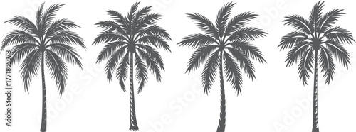 Tropical palm tree silhouette illustration on a summer beach against the sky