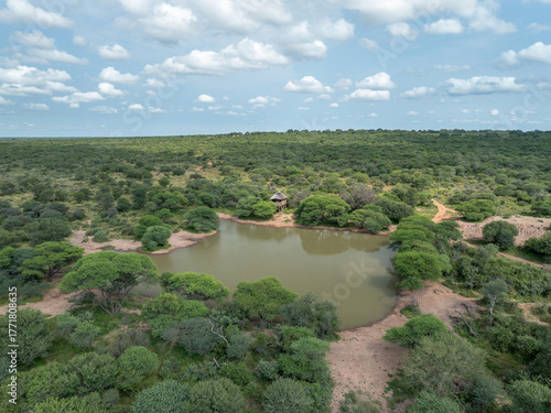 Aerial View of a watering hole 