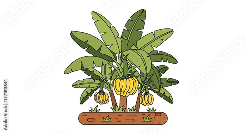 Stylized banana trees bearing ripe fruit on a small patch of land illustration