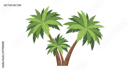 Stylized tropical palm trees illustration on a plain white background