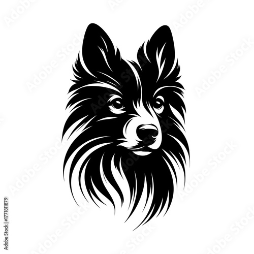 Schipperke dog side, vector illustration. Diversity of breeds, pet and friend for human. Vet clinic professional services, grooming salon and dog food decoration