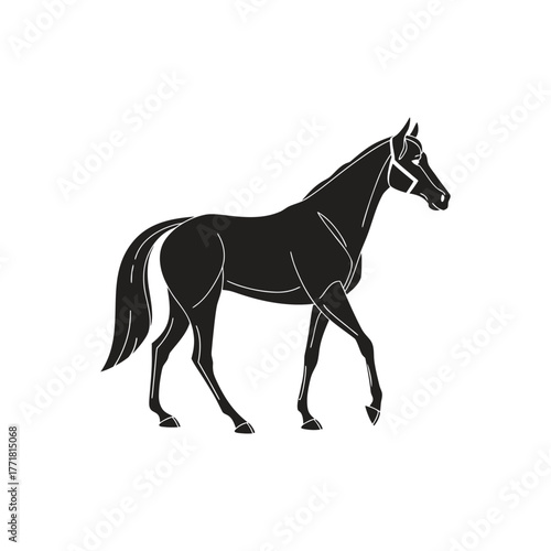 Elegant Walking Horse Silhouette