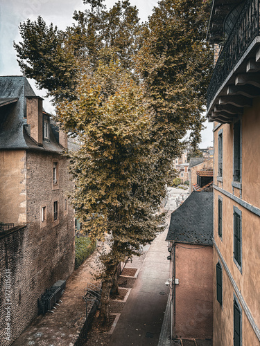 Antique building view in Pau, FRANCE