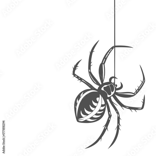 Spider hanging on thread for halloween
