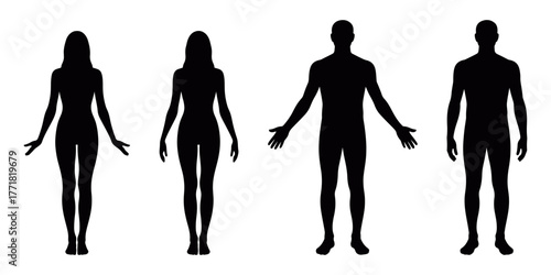 Male and female human body silhouette vector set in neutral standing pose, black figure design ideal for anatomy illustration, infographic layout, health, and educational graphic concepts