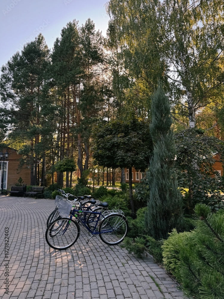 Fototapeta premium bicycles in the park
