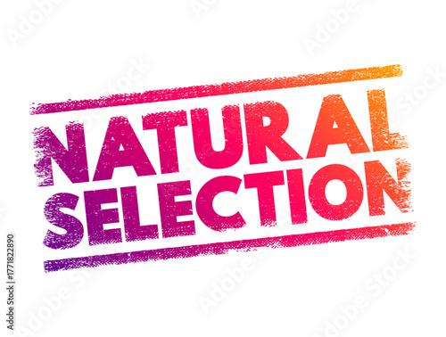 Natural Selection is the differential survival and reproduction of individuals due to differences in phenotype, text concept stamp