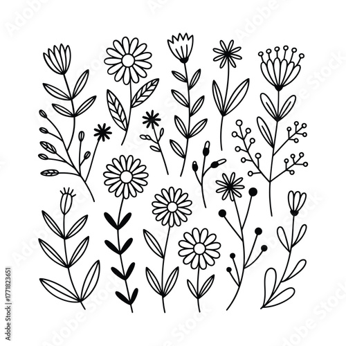 Collection of hand drawn botanical elements and flowers in black and white sketch style