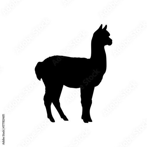Alpaca silhouette vector flat design on white background.