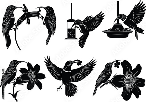 Hummingbird silhouettes feeding from flowers and feeders, elegant nature illustration, bird interaction scene, artistic wildlife design, pollination behavior concept