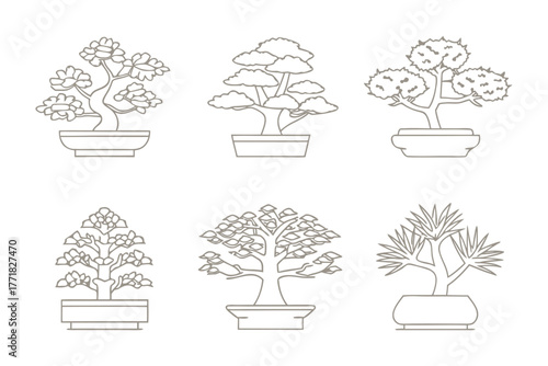 Bonsai Variety: A curated collection of diverse bonsai trees showcases the artistry of miniature tree cultivation, each delicately potted and meticulously pruned.