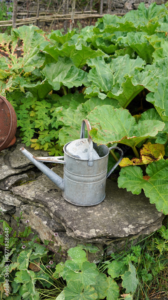 Obraz premium Old metal watering can on a stone garden wall, Cumbria, England