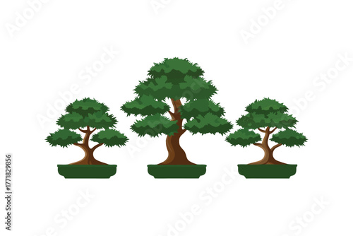 Bonsai Trio: Three carefully cultivated bonsai trees showcase the beauty of miniature art and the patience it demands. They stand in harmony, embodying the spirit of nature and tranquility.
