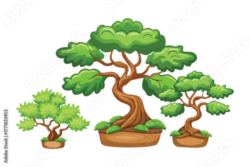 Zen Garden Trio: Three meticulously crafted bonsai trees, each a miniature masterpiece of nature, stand proudly, exemplifying the art of bonsai cultivation in a tranquil setting.