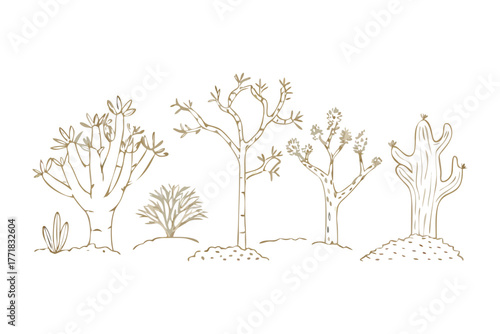 Desert Botanical Illustration: Artistic line drawing captures the stark beauty of desert flora, depicting a collection of unique plant species against a simple backdrop. 