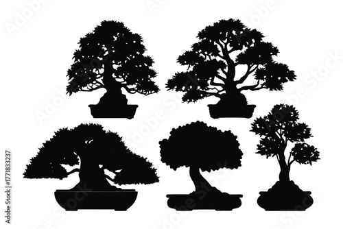 Tranquil Silhouettes: A curated collection of meticulously crafted bonsai trees, their intricate silhouettes against a neutral backdrop, inviting a sense of serenity.