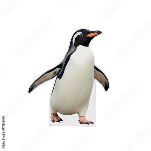 penguin isolated on white vector illustration