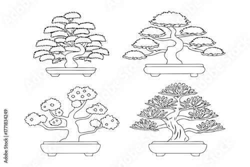 Bonsai Trees: A collection of bonsai trees are in varying styles of artistry, with the silhouette style. Showcasing the delicate shapes of each unique plant.