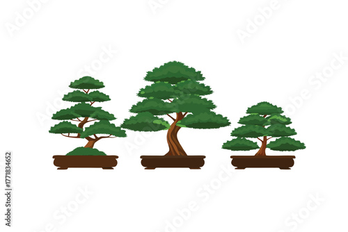 Bonsai Trio: An illustration featuring a serene composition of three carefully cultivated bonsai trees in their respective pots, inviting a sense of tranquility and the art of miniature landscapes.