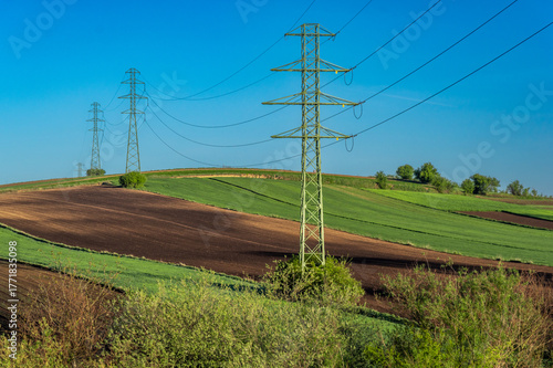 Wallpaper Mural Overhead power line with conductors suspended by towers, rural area of Ponidzie, Poland Torontodigital.ca